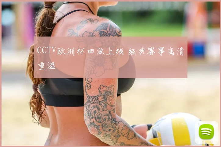 CCTV欧洲杯回放上线 经典赛事高清重温